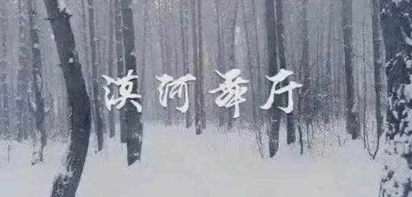 Top social|数播|social|Kol|KOL|kol平台|kol投放|kol投放平台|kol营销平台|kol接单平台|kol投放网站|kol资源|小红书kol推广|kol采购平台|kol资源平台|小红书kol|微博kol|微博kol推广|媒介投放