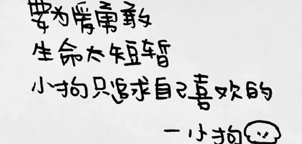 Top social|数播|social|kol投放|kol|kol投放平台|kol资源|微信投放|微博投放|小红书投放|抖音投放|B站投放|新媒体投放|媒介投放平台