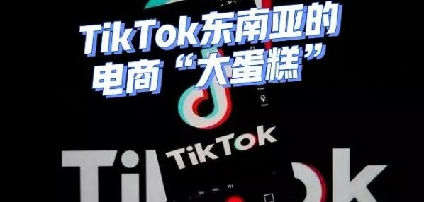 Top social|数播|social|kol投放|kol|kol投放平台|kol资源|微信投放|微博投放|小红书投放|抖音投放|B站投放|新媒体投放|媒介投放平台