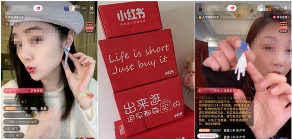 Top social|数播|social|Kol|KOL|kol平台|kol投放|kol投放平台|kol营销平台|kol接单平台|kol投放网站|kol资源|小红书kol推广|kol采购平台|kol资源平台|小红书kol|微博kol|微博kol推广|媒介投放