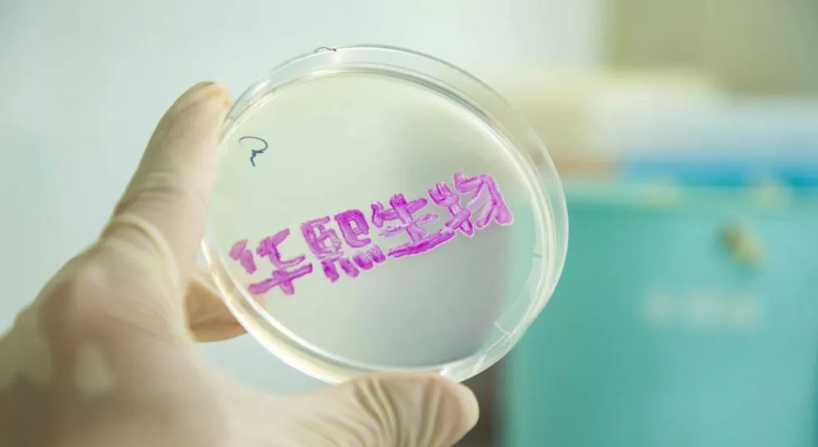 Top social|数播|social|Kol|KOL|kol平台|kol投放|kol投放平台|kol营销平台|华熙生物|李宁|携程|京东|雅诗兰黛|腾讯|ChatGPT|AI智能应用|人工智能|kol接单平台|kol投放网站|kol资源|小红书kol推广|kol采购平台|kol资源平台|快手|小红书kol|微博kol|微博kol推广|抖音|媒介投放