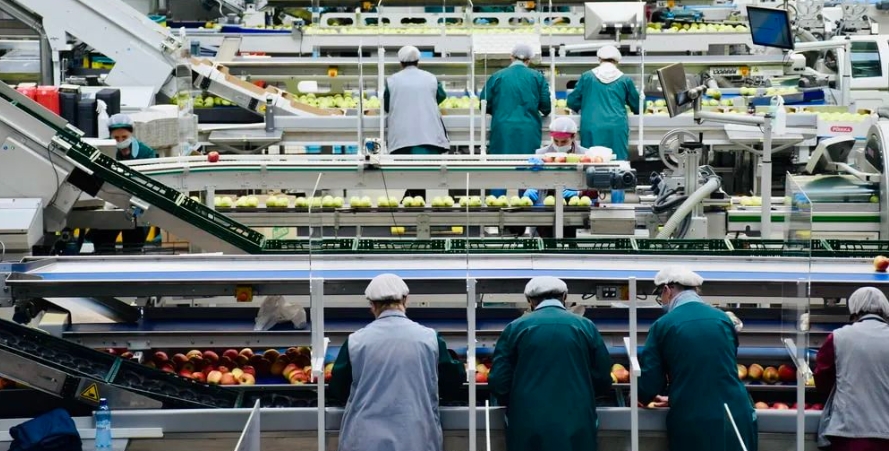 Top social|数播|social|Kol|KOL|kol平台|kol投放|kol投放平台|kol营销平台|西门子|美团|京东|亚马逊|ChatGPT|AI智能应用|人工智能|kol接单平台|kol投放网站|kol资源|小红书kol推广|kol采购平台|kol资源平台|快手|小红书kol|微博kol|微博kol推广|抖音|媒介投放