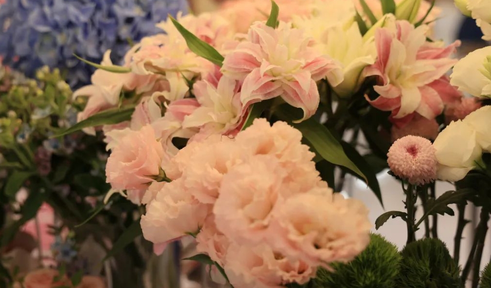 Top social|数播|social|Kol|KOL|kol平台|kol投放|kol投放平台|kol营销平台|特斯拉|美团|亚运会|苏宁易购|ChatGPT|AI智能应用|人工智能|kol接单平台|kol投放网站|kol资源|小红书kol推广|kol采购平台|kol资源平台|快手|小红书kol|微博kol|微博kol推广|抖音|媒介投放