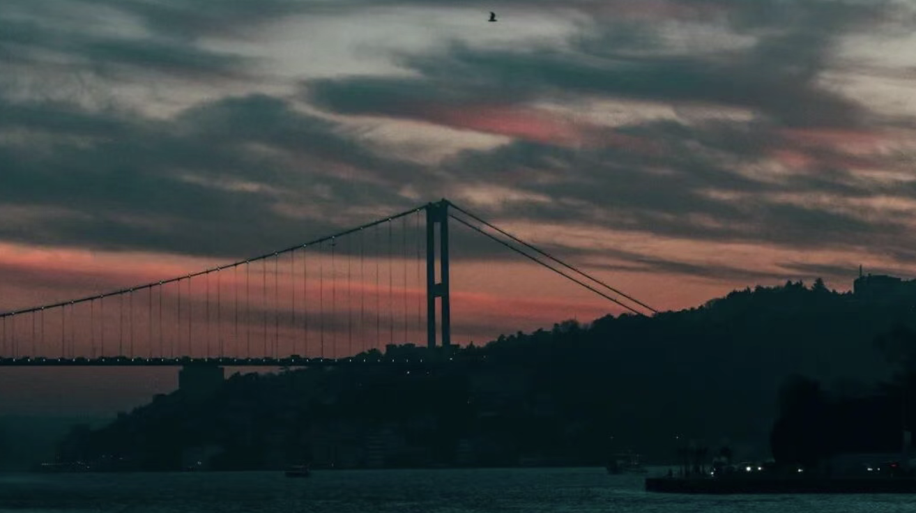 截屏2025-11-24 16.50.52.png