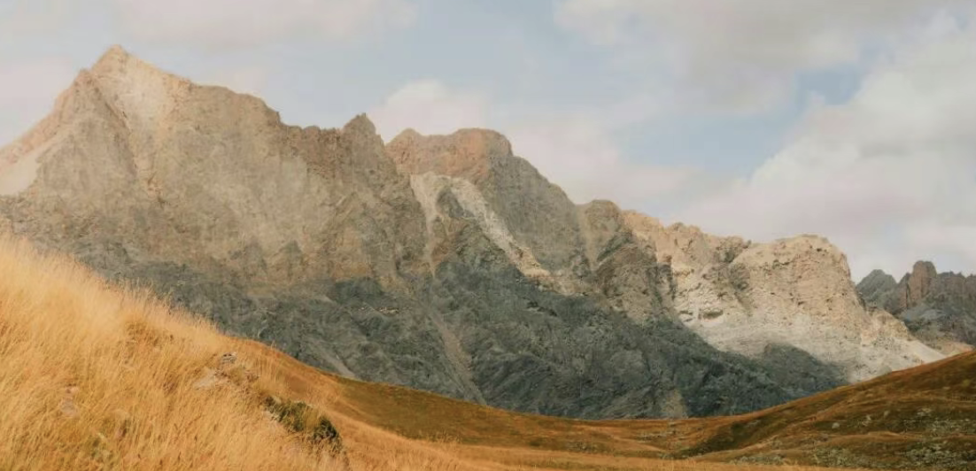 Top social|数播|social|Kol|KOL|kol平台|kol投放|kol投放平台|kol营销平台|kol接单平台|kol投放网站|kol资源|小红书kol推广|kol采购平台|kol资源平台|快手|小红书kol|微博kol|微博kol推广|抖音|媒介投放